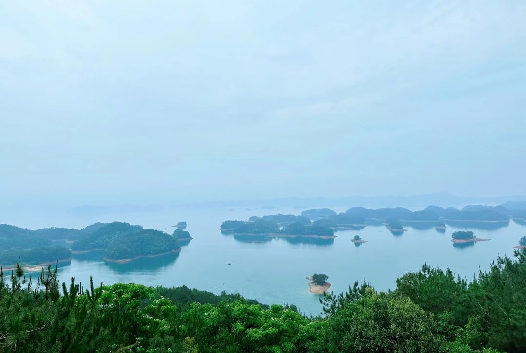 香港免费宝典资料大全